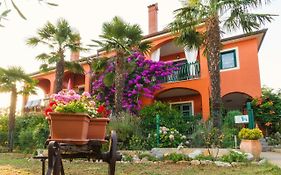 Apartments Mirjana