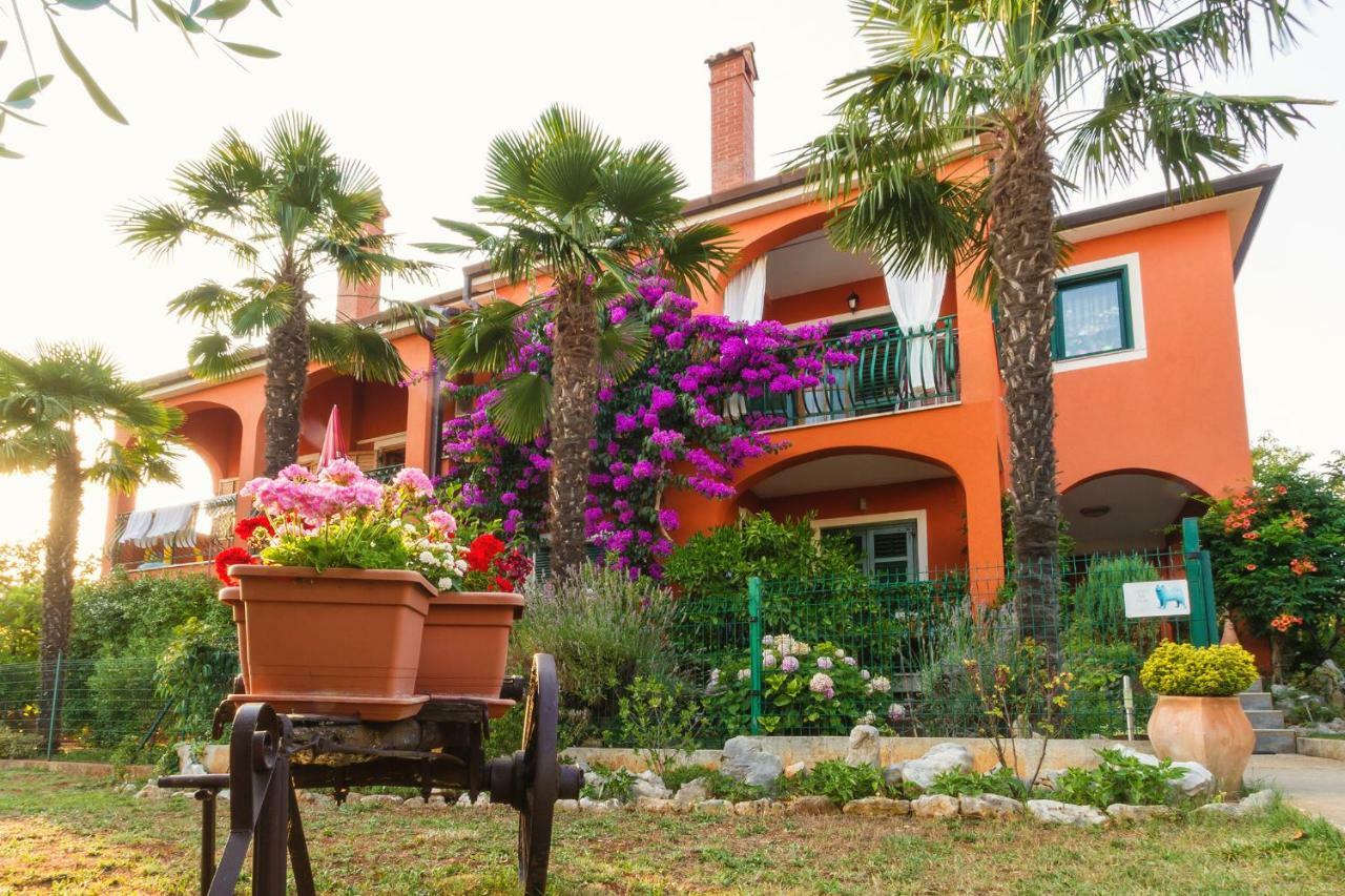 Apartments Mirjana Novigrad Istria Exteriér fotografie